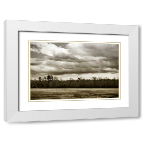 Winter Fields III White Modern Wood Framed Art Print with Double Matting by Hausenflock, Alan