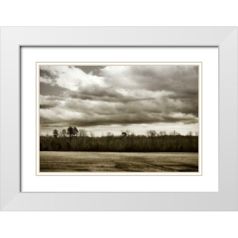 Winter Fields III White Modern Wood Framed Art Print with Double Matting by Hausenflock, Alan