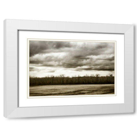 Winter Fields IV White Modern Wood Framed Art Print with Double Matting by Hausenflock, Alan