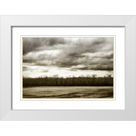 Winter Fields IV White Modern Wood Framed Art Print with Double Matting by Hausenflock, Alan
