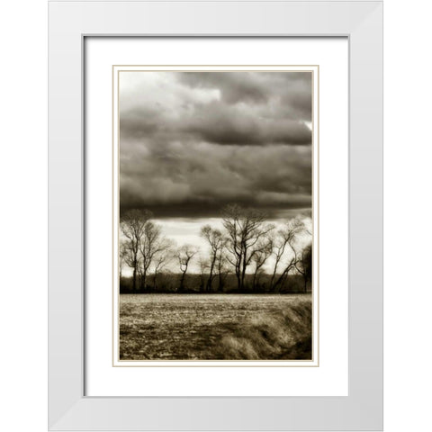 Winter Fields V White Modern Wood Framed Art Print with Double Matting by Hausenflock, Alan