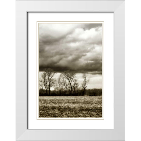 Winter Fields VI White Modern Wood Framed Art Print with Double Matting by Hausenflock, Alan