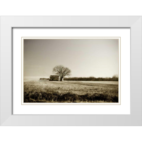 Ashland Farm II White Modern Wood Framed Art Print with Double Matting by Hausenflock, Alan