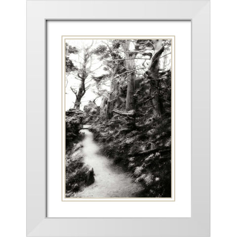 North Point Pathway I White Modern Wood Framed Art Print with Double Matting by Hausenflock, Alan