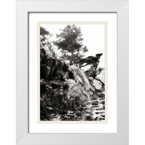 North Point Pathway II White Modern Wood Framed Art Print with Double Matting by Hausenflock, Alan