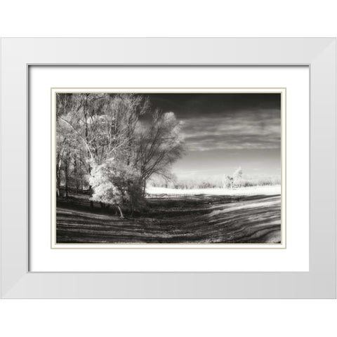 Dry Creek I White Modern Wood Framed Art Print with Double Matting by Hausenflock, Alan