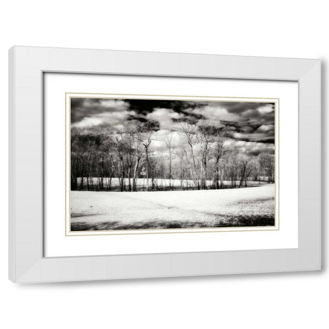 Hanover Winter II White Modern Wood Framed Art Print with Double Matting by Hausenflock, Alan