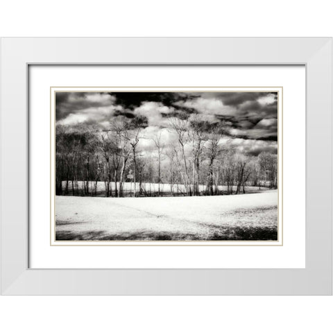 Hanover Winter II White Modern Wood Framed Art Print with Double Matting by Hausenflock, Alan