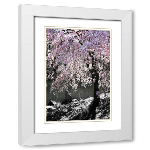 Cherry Tree I White Modern Wood Framed Art Print with Double Matting by Hausenflock, Alan