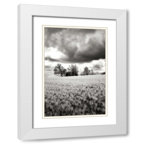 Stormy Skies I White Modern Wood Framed Art Print with Double Matting by Hausenflock, Alan