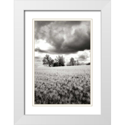 Stormy Skies I White Modern Wood Framed Art Print with Double Matting by Hausenflock, Alan