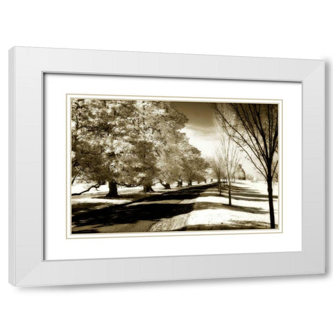 Stately Magnolias I White Modern Wood Framed Art Print with Double Matting by Hausenflock, Alan