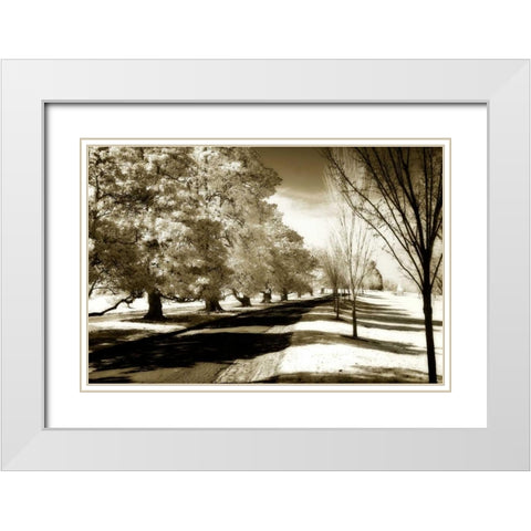 Stately Magnolias I White Modern Wood Framed Art Print with Double Matting by Hausenflock, Alan