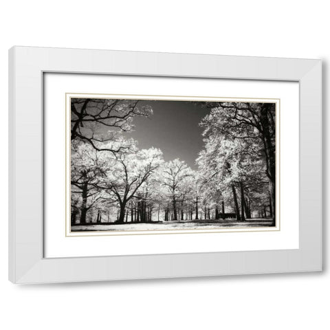 Bright Spring Day I White Modern Wood Framed Art Print with Double Matting by Hausenflock, Alan
