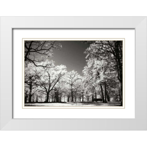 Bright Spring Day I White Modern Wood Framed Art Print with Double Matting by Hausenflock, Alan