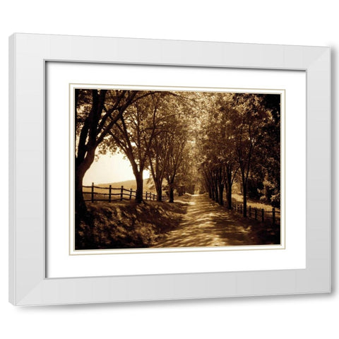 Ash Lawn I White Modern Wood Framed Art Print with Double Matting by Hausenflock, Alan