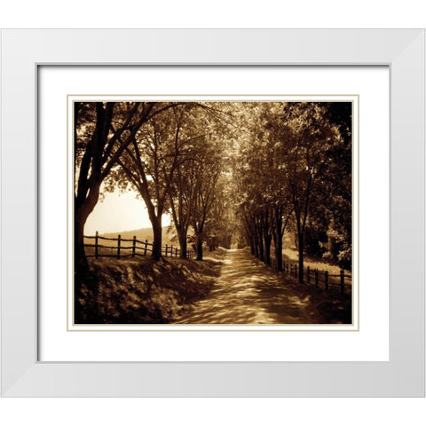 Ash Lawn I White Modern Wood Framed Art Print with Double Matting by Hausenflock, Alan