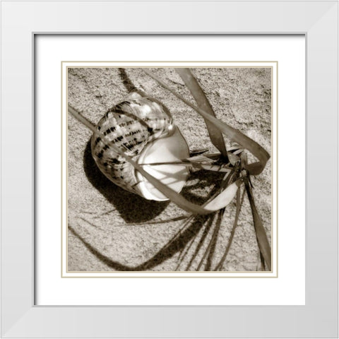 Seashells III White Modern Wood Framed Art Print with Double Matting by Hausenflock, Alan