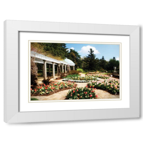 Spring Formality I White Modern Wood Framed Art Print with Double Matting by Hausenflock, Alan