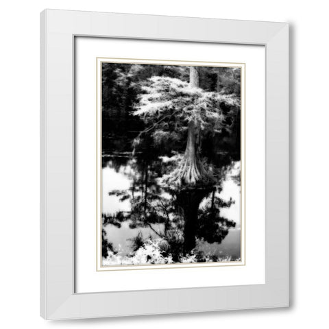 Trenton Cyprus I White Modern Wood Framed Art Print with Double Matting by Hausenflock, Alan