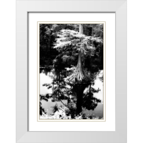 Trenton Cyprus I White Modern Wood Framed Art Print with Double Matting by Hausenflock, Alan