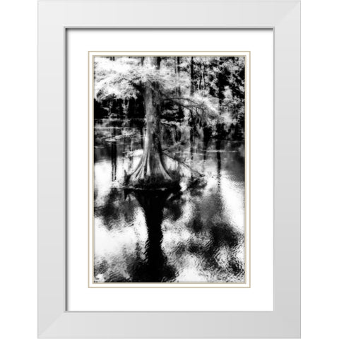 Trenton Cyprus II White Modern Wood Framed Art Print with Double Matting by Hausenflock, Alan