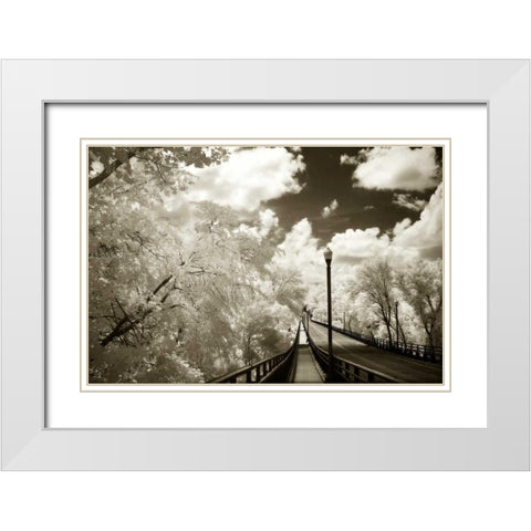 Boulevard Bridge II White Modern Wood Framed Art Print with Double Matting by Hausenflock, Alan