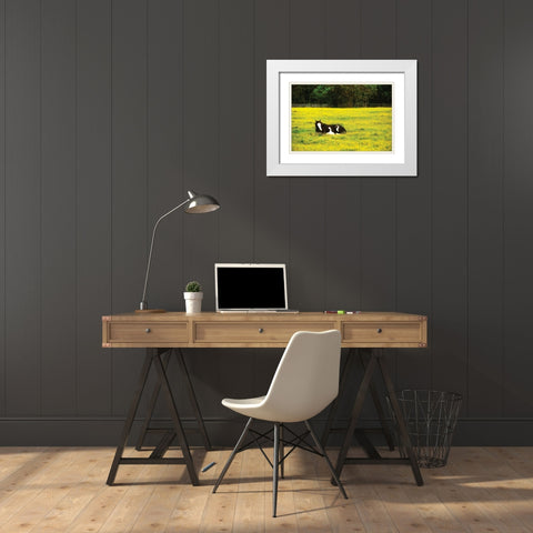 Black Pinto II White Modern Wood Framed Art Print with Double Matting by Hausenflock, Alan