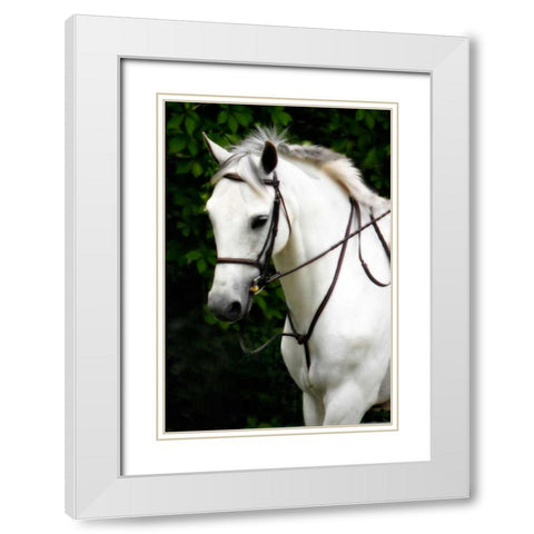 Phantom I White Modern Wood Framed Art Print with Double Matting by Hausenflock, Alan