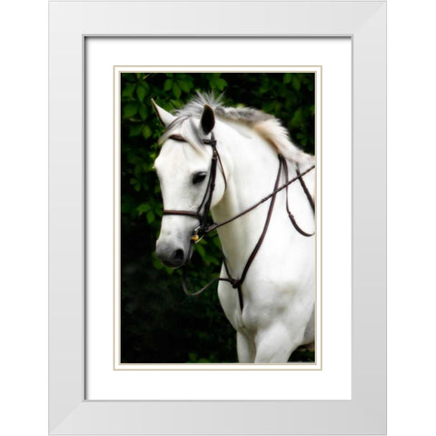 Phantom I White Modern Wood Framed Art Print with Double Matting by Hausenflock, Alan