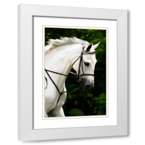 Phantom II White Modern Wood Framed Art Print with Double Matting by Hausenflock, Alan