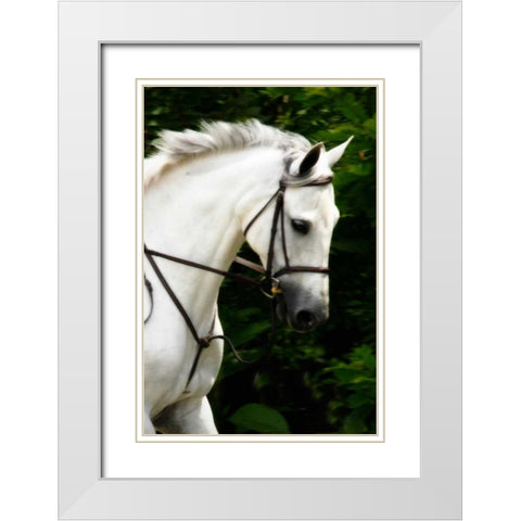 Phantom II White Modern Wood Framed Art Print with Double Matting by Hausenflock, Alan