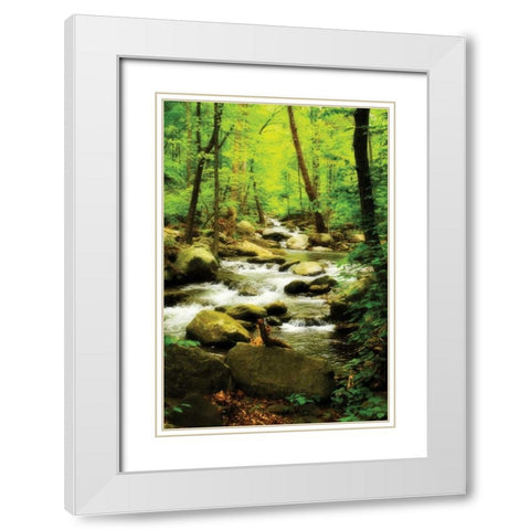 White Oak River I White Modern Wood Framed Art Print with Double Matting by Hausenflock, Alan