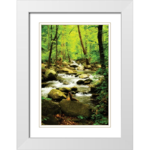 White Oak River I White Modern Wood Framed Art Print with Double Matting by Hausenflock, Alan