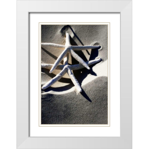 Sea Stars I White Modern Wood Framed Art Print with Double Matting by Hausenflock, Alan