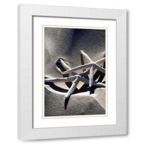 Sea Stars II White Modern Wood Framed Art Print with Double Matting by Hausenflock, Alan