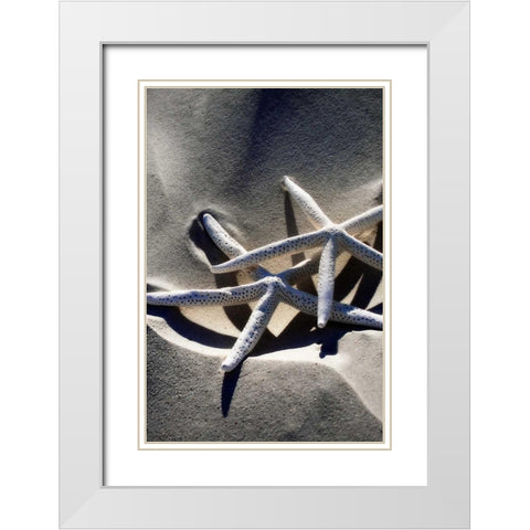Sea Stars II White Modern Wood Framed Art Print with Double Matting by Hausenflock, Alan