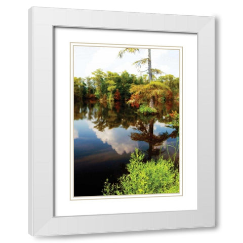 Still Water II White Modern Wood Framed Art Print with Double Matting by Hausenflock, Alan