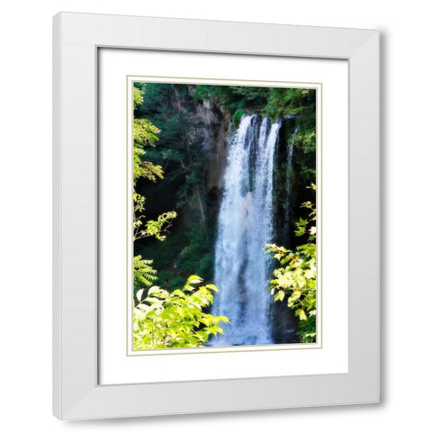 Falling Springs I White Modern Wood Framed Art Print with Double Matting by Hausenflock, Alan