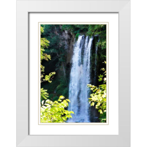 Falling Springs I White Modern Wood Framed Art Print with Double Matting by Hausenflock, Alan