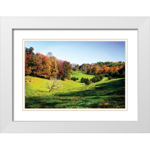 Virginia Hills I White Modern Wood Framed Art Print with Double Matting by Hausenflock, Alan