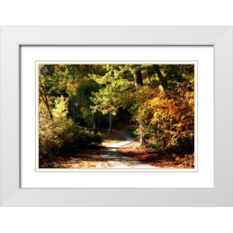 Autumn Pathway I White Modern Wood Framed Art Print with Double Matting by Hausenflock, Alan