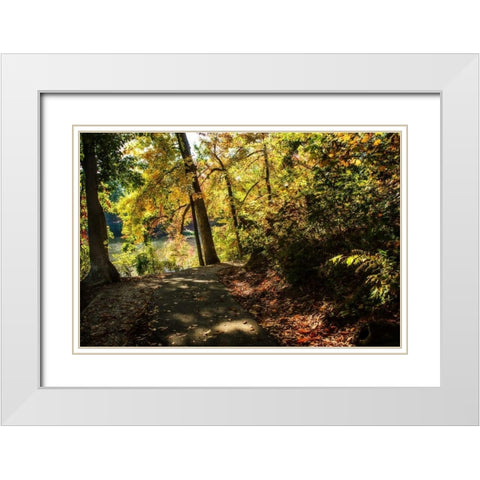 Autumn Pathway II White Modern Wood Framed Art Print with Double Matting by Hausenflock, Alan
