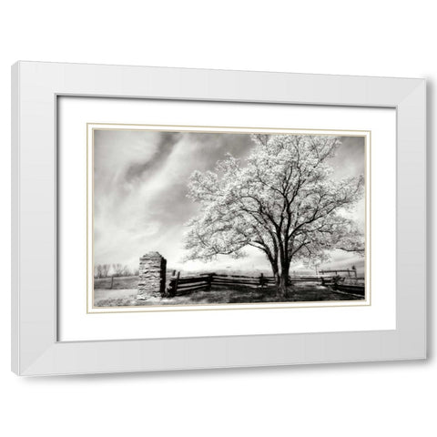 McCormick Road II White Modern Wood Framed Art Print with Double Matting by Hausenflock, Alan