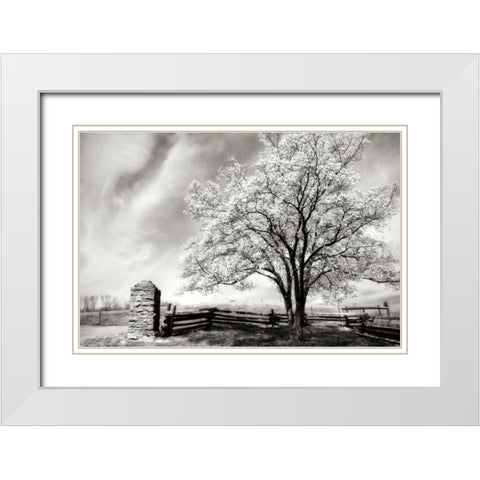 McCormick Road II White Modern Wood Framed Art Print with Double Matting by Hausenflock, Alan
