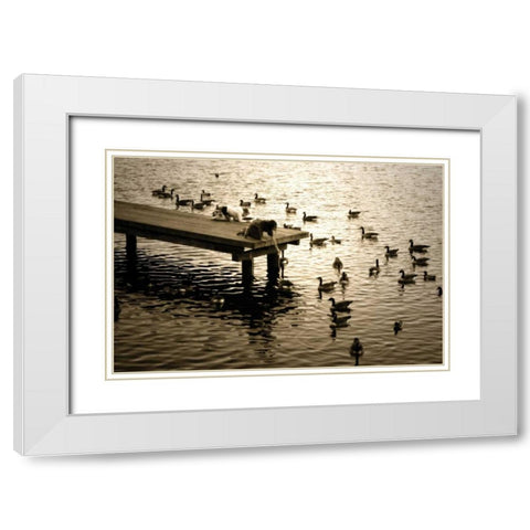 Feeding the Geese II White Modern Wood Framed Art Print with Double Matting by Hausenflock, Alan