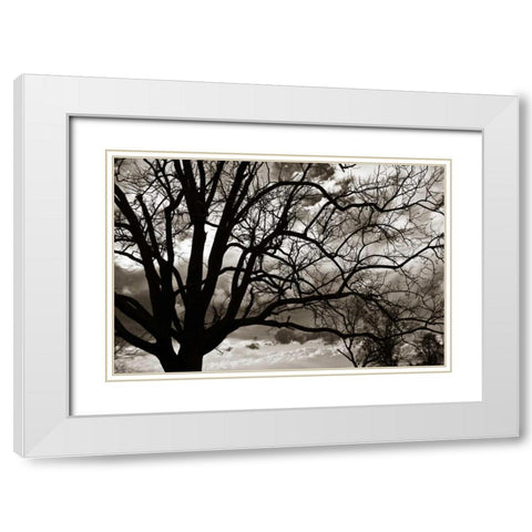 Approaching Storm II White Modern Wood Framed Art Print with Double Matting by Hausenflock, Alan