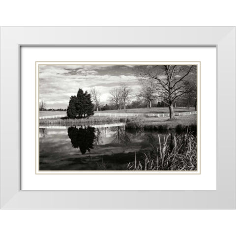 Edgeworth Farm II White Modern Wood Framed Art Print with Double Matting by Hausenflock, Alan