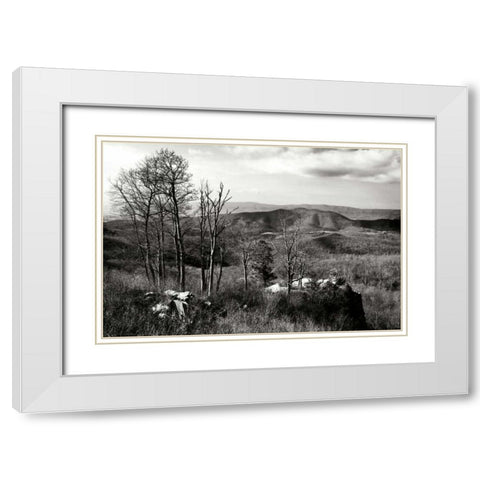 Bare Sentinals II White Modern Wood Framed Art Print with Double Matting by Hausenflock, Alan