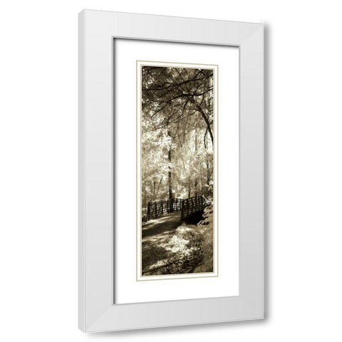 Summer Bridge Panel White Modern Wood Framed Art Print with Double Matting by Hausenflock, Alan